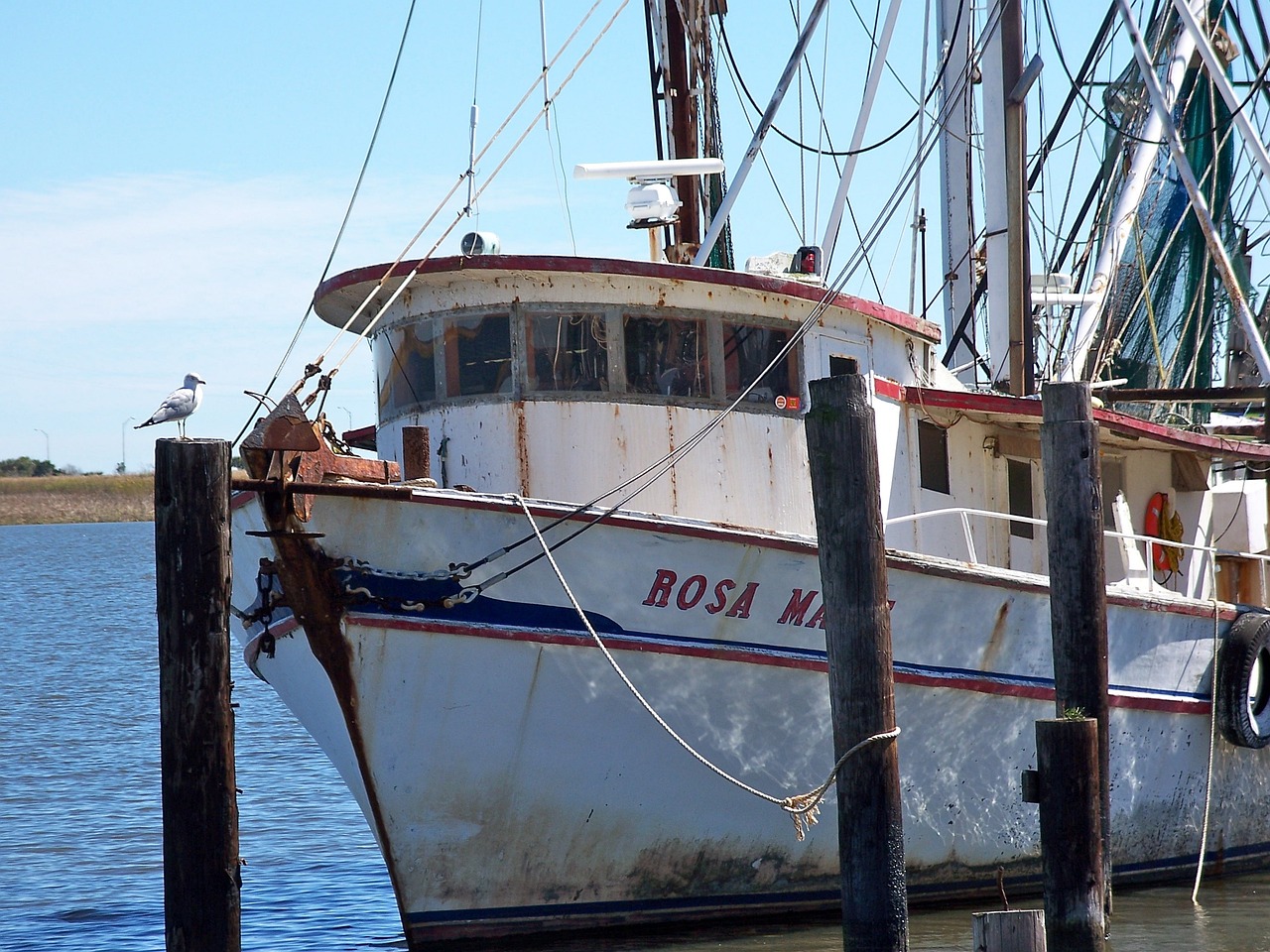 apalachicola, boats, florida-178341.jpg